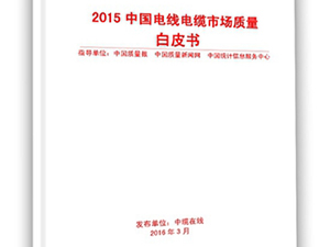 2015ߵгƤ顷ʽ